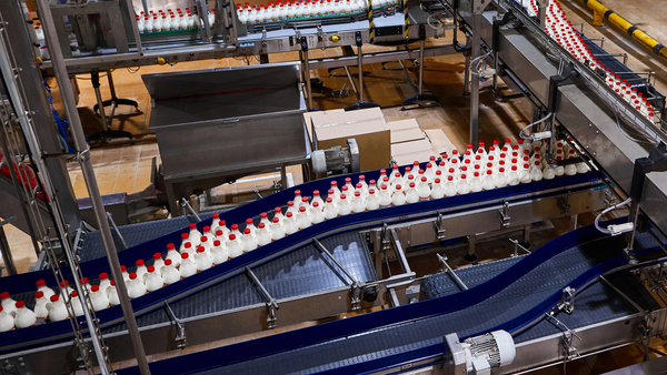 Stainless Steel and Flat Top Chains: Essential Components in Dairy Processing and Packaging