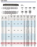 BL844 Leaf Chain 10 Feet For Forklift Masts,Hoisting with 1 Connecting Link