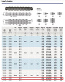 BL866 Leaf Chain 10 Feet For Forklift Masts,Hoisting with 1 Connecting Link