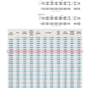 C2062 Conveyor Roller Chain 10 Feet with 1 Connecting Link