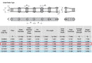 C2100 Conveyor Roller Chain 10 Feet  with 1 Connecting Link